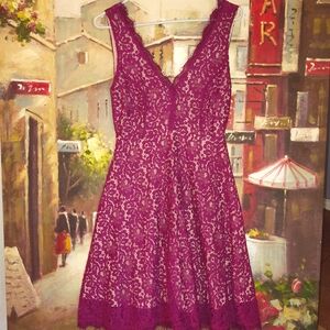 Soprano Magenta and Cream Lace Dress
